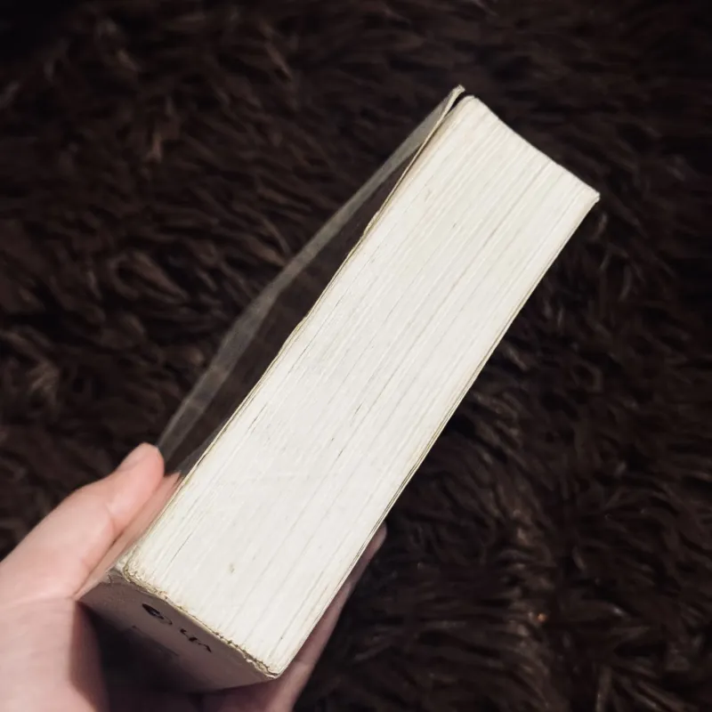 Combo 2c Milan Kundera  781668