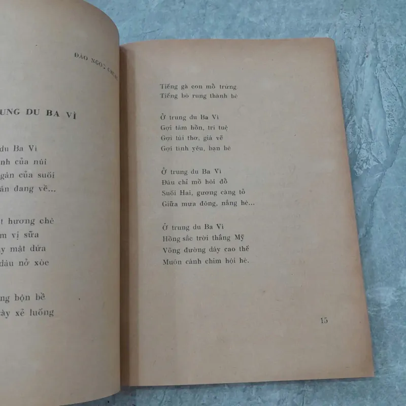 LÚA TƠ ( TẬP THƠ) 1009557