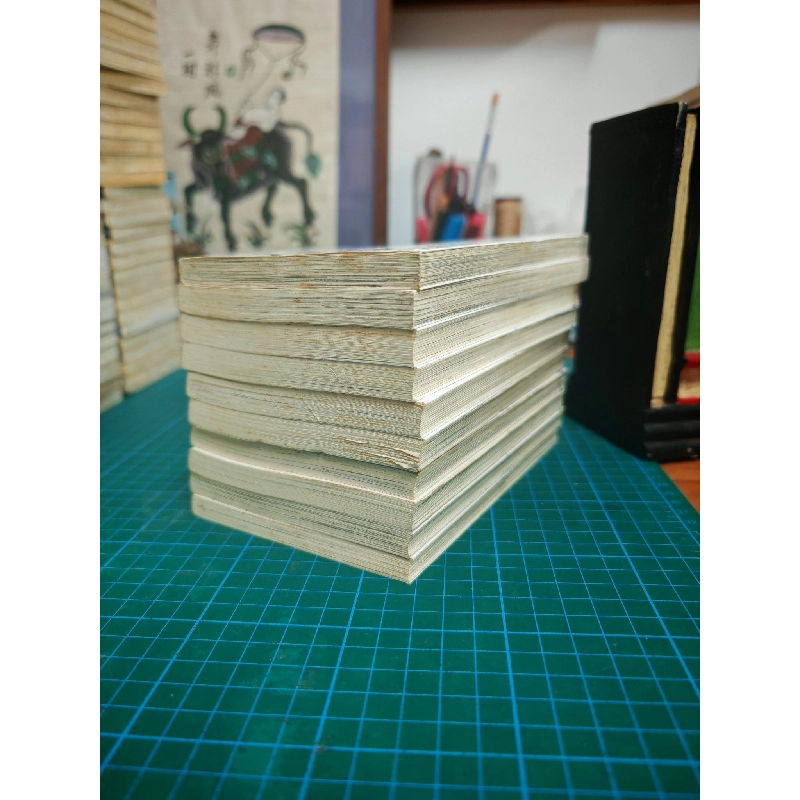 Truyện Tranh Hãy Bảo Vệ Tôi, Nữ Thần Nguyệt Thiên! 738892