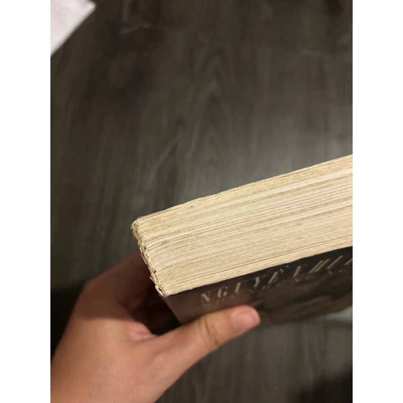 Như những ngọn gió 446549