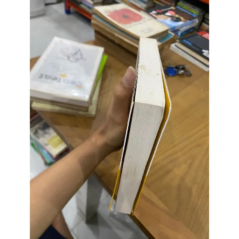 Việt Nam phong tục - Phan Kế Bính 127604