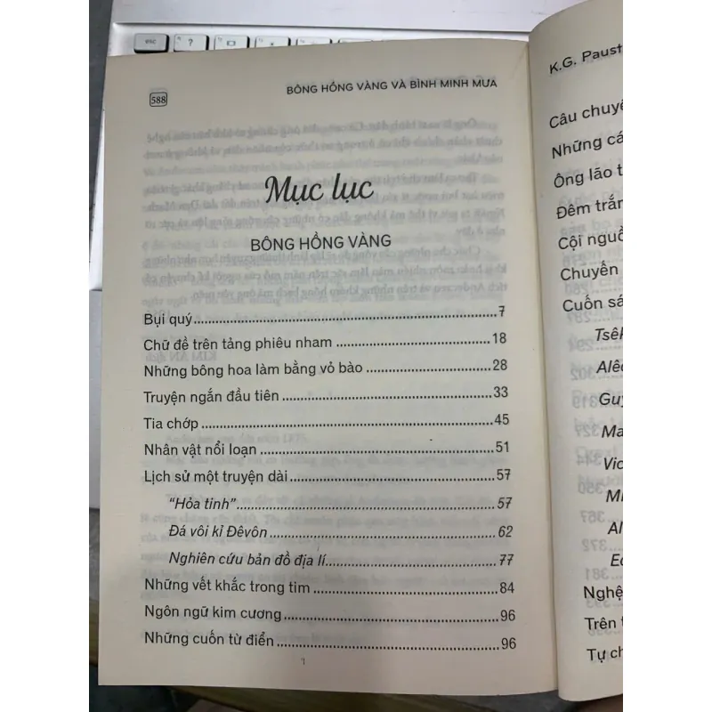 BÔNG HỒNG VÀNG VÀ BÌNH MINH MƯA - K. G. PAUSTOVSKY 329435