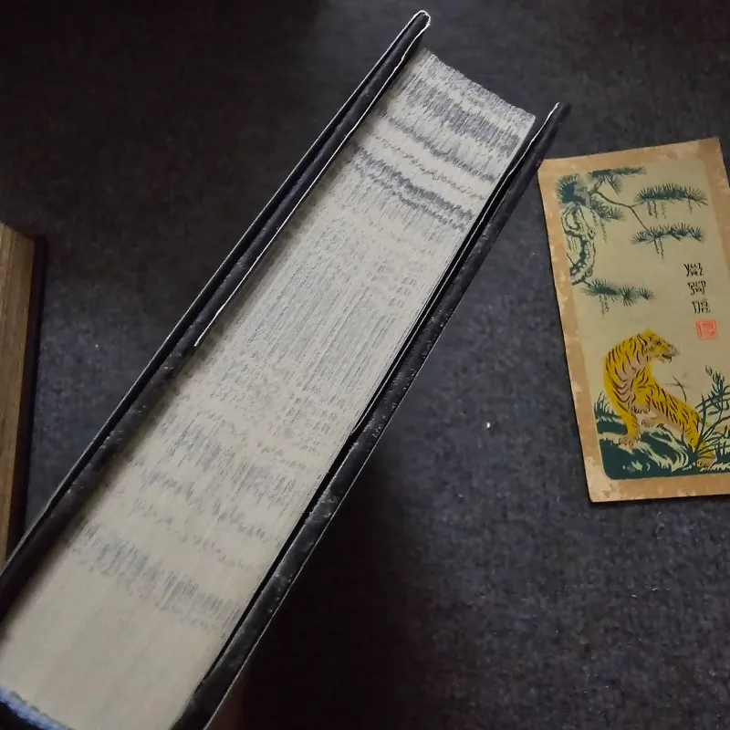 Nightbane - alex aster 776975