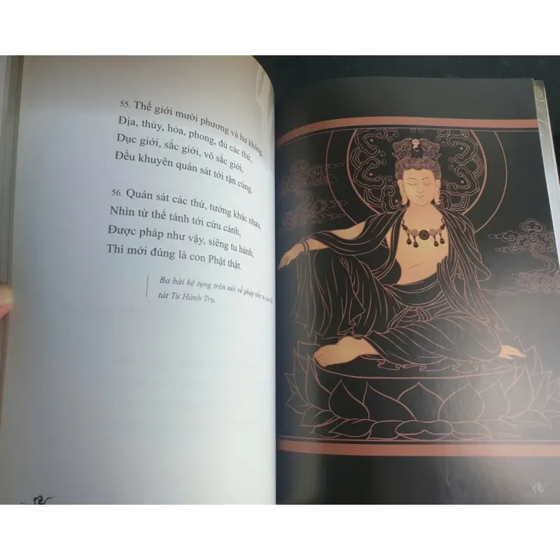 Kinh Hoa Nghiêm Phẩm Thập Trụ - Chính Văn và Lược Giải - Thầy Hằng Trường mới 90% 698198