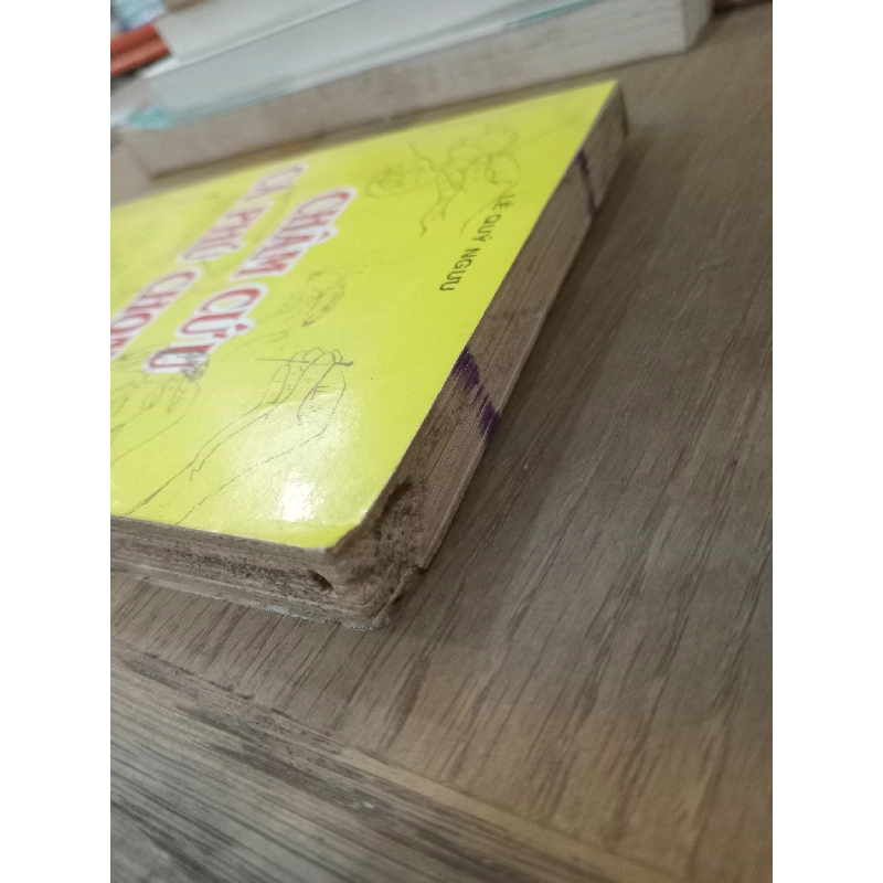 CHÂM CỨU CA PHÚ CHỌN LỌC - LÊ QUÝ NGƯU 165508