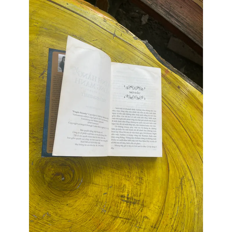 VĨNH HẰNG MONG MANH- MELISSA MARR 557429