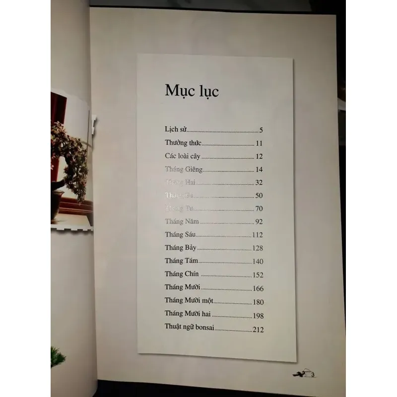 bonsai - Kunio Kobayashi 604214