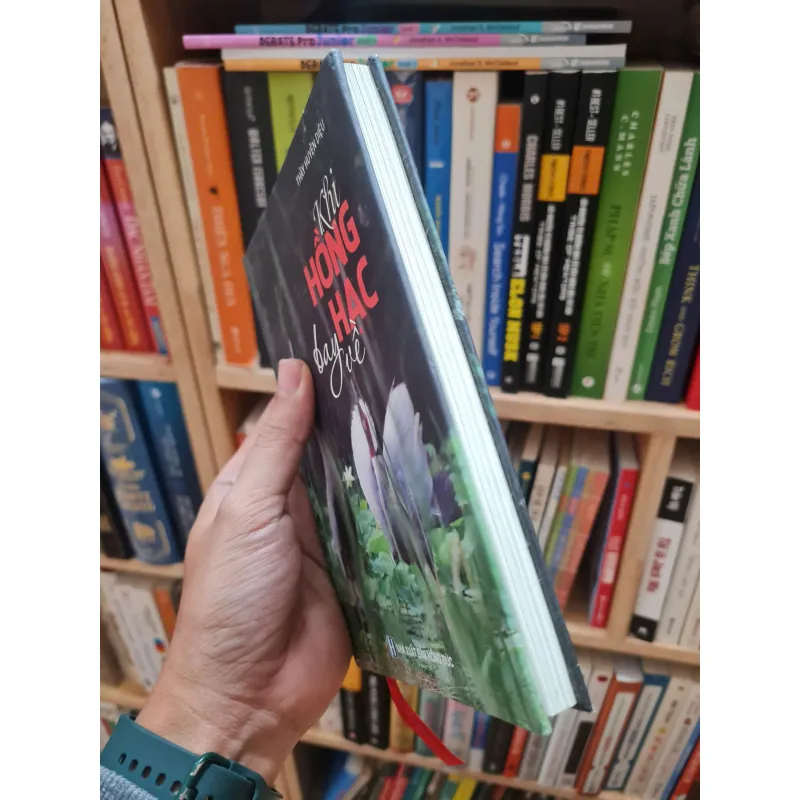 Khi Hồng Hạc Bay Về - Huyền Diệu (bìa cứng, in màu), mới 80% (TSTK) 674366