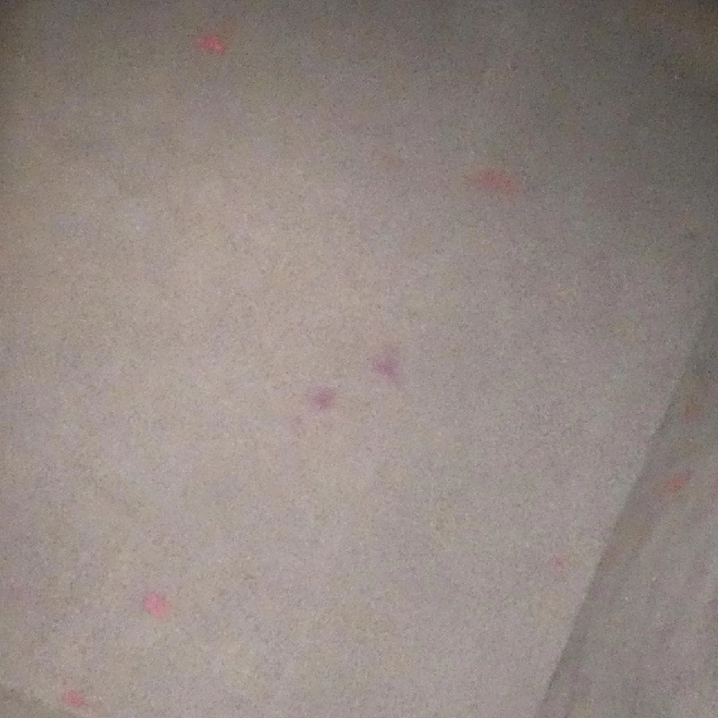 Túi xách vai Fendi Mon Tresor 8BT298 A5KC 611035