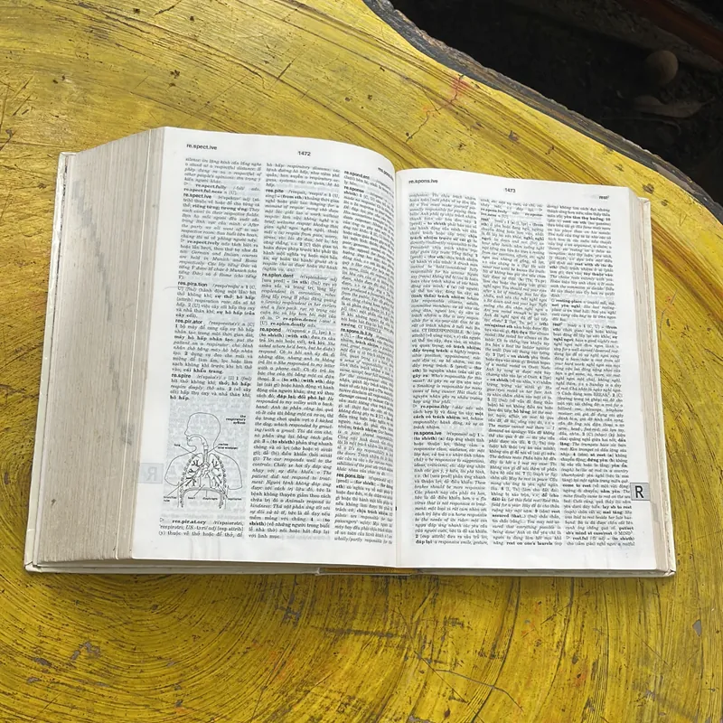 TỪ ĐIỂN ANH - VIỆT ENGLISH- VIETNAMESE DICTIONARY  701204