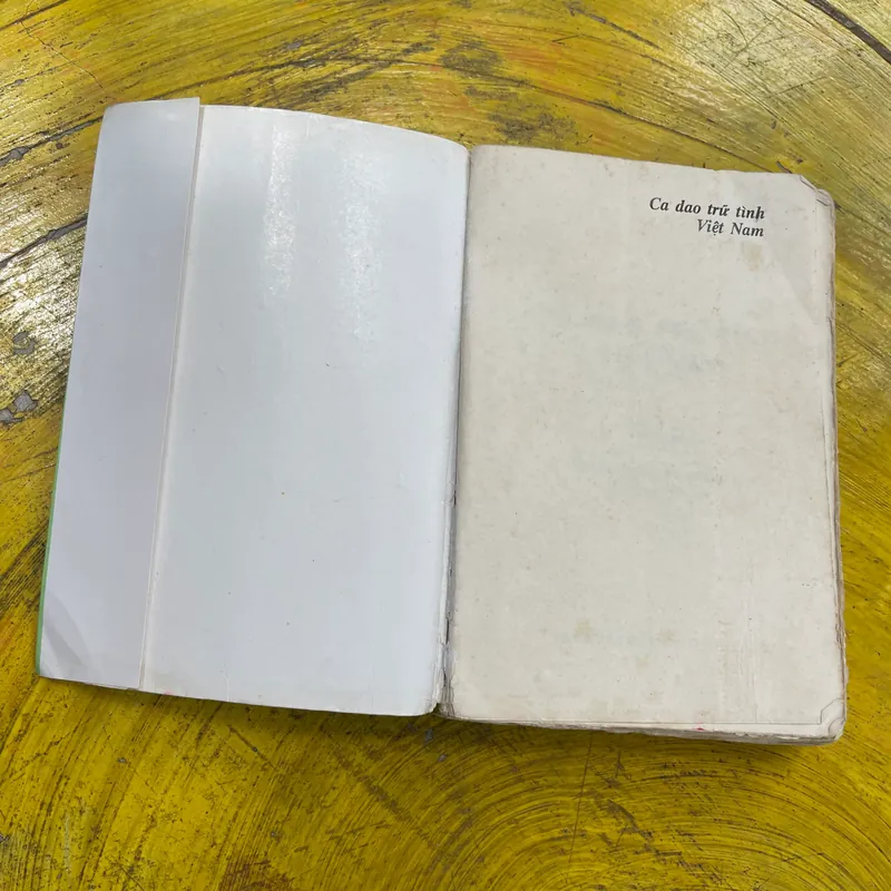 CA DAO TRỮ TÌNH VIỆT NAM- NXB GIÁO DỤC 564554