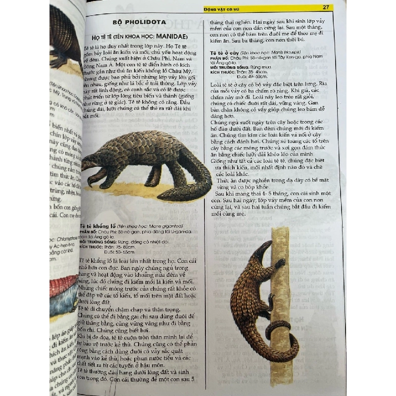 Động vật có vú - Nhóm tác giả Elicom 785049