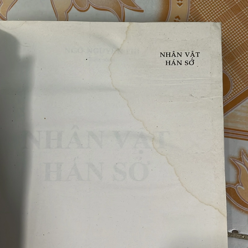 Sách in Nhân Vật Hán Sơ 496872