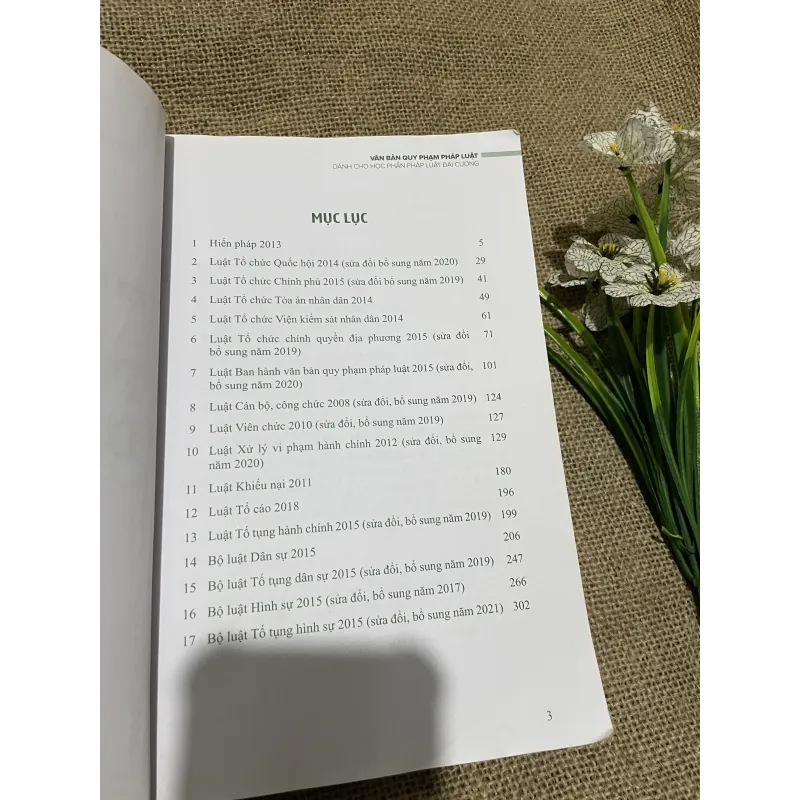 VĂN BẢN QUY PHẠM PHÁP LUẬT DÀNH CHO HỌC PHẦN PHÁP LUẬT ĐẠI CƯƠNG, hơn 300 trang  797718