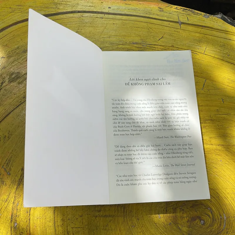 ĐỂ KHÔNG PHẠM SAI LẦM - JORDAN ELLENBERG 734246