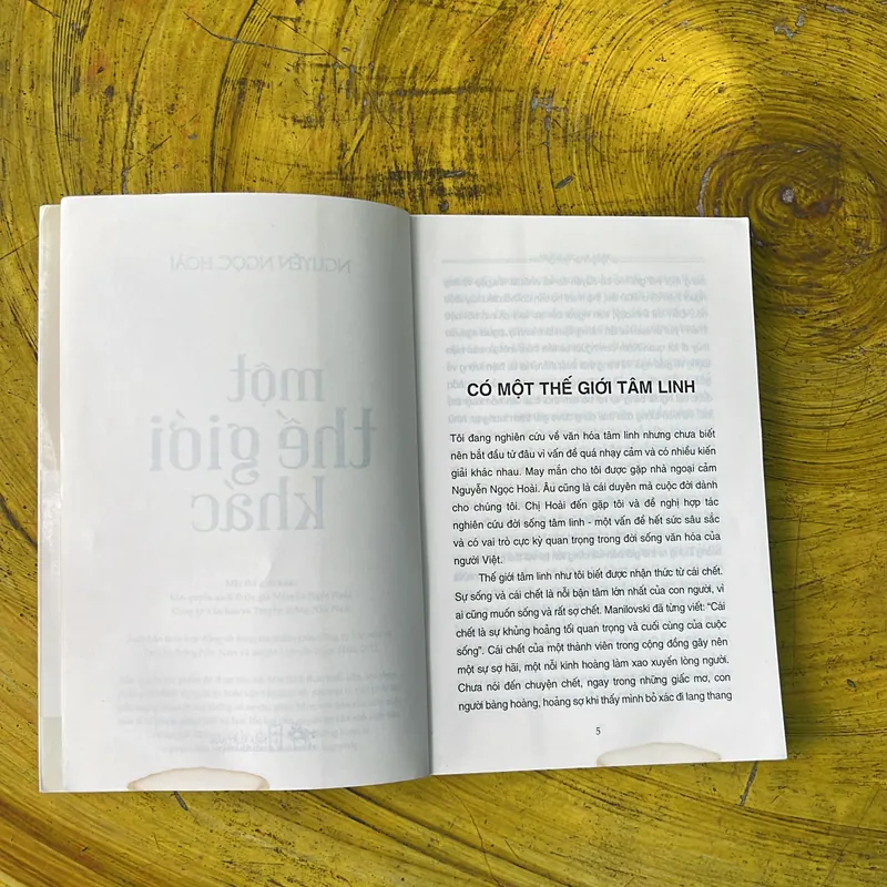 COMBO MỘT THẾ GIỚI KHÁC & NHÀ NGOẠI CẢM PHAN THỊ BÍCH HẰNG 735779