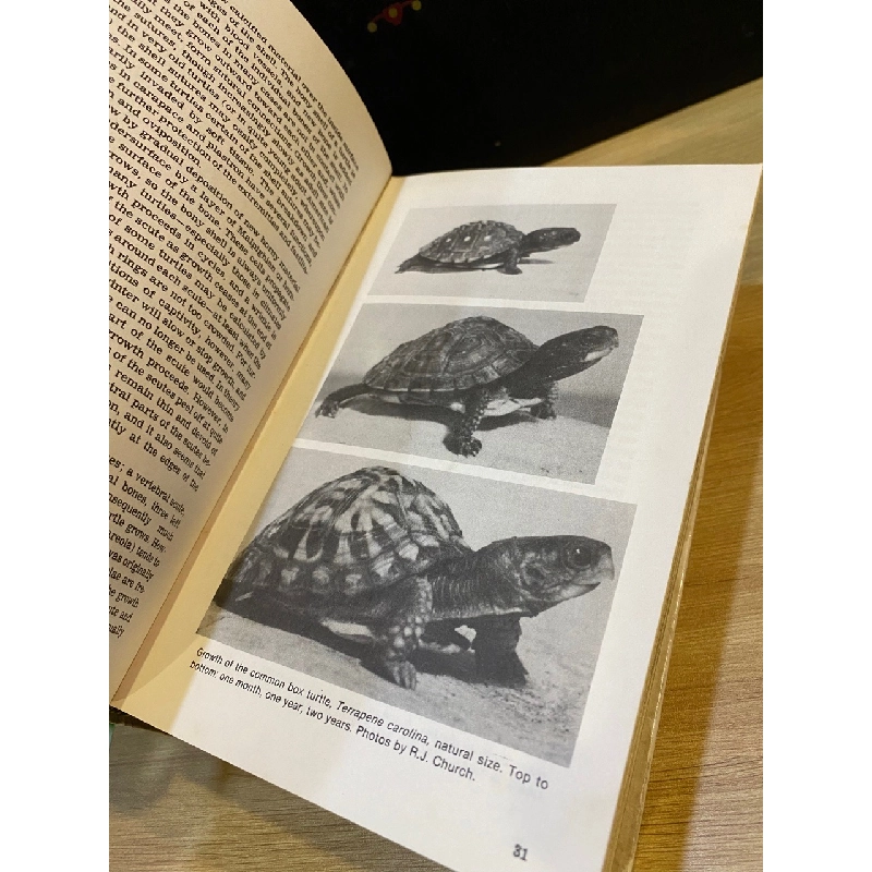 Encyclopedia of Turtles - Dr. Peter C. H. Pritchard 533826