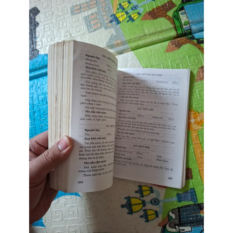 555 Món Ăn Việt Nam 973505