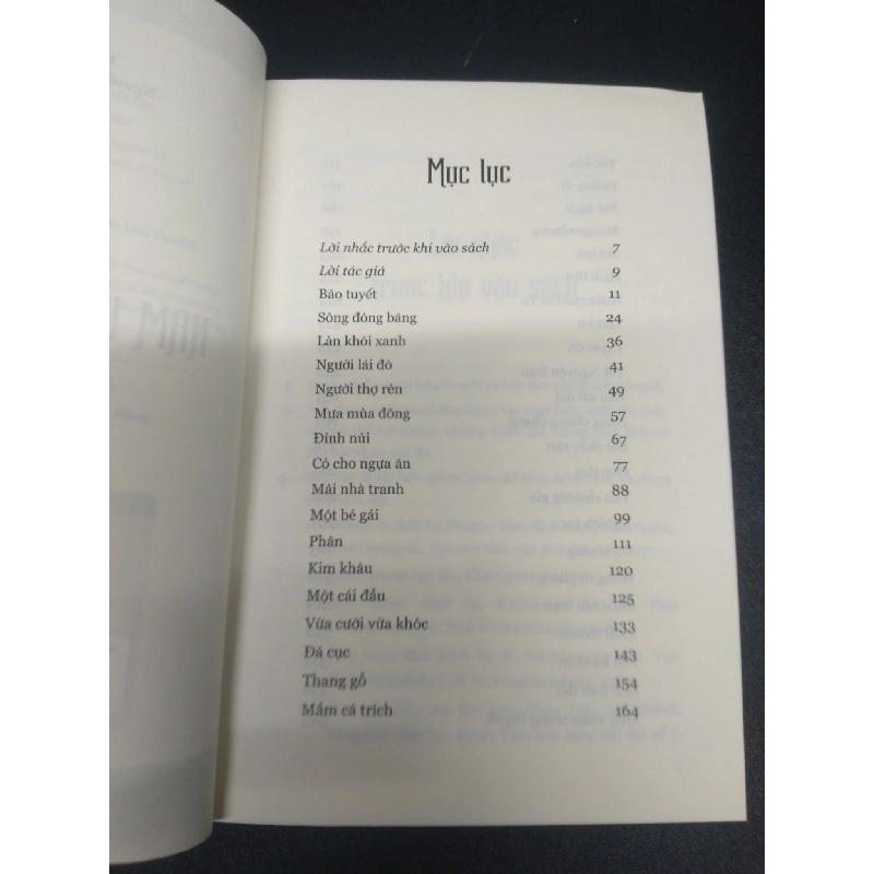 Nam Hán Sơn Thành năm 2021 mới 90% bẩn nhẹ HCM0103 văn học 913472