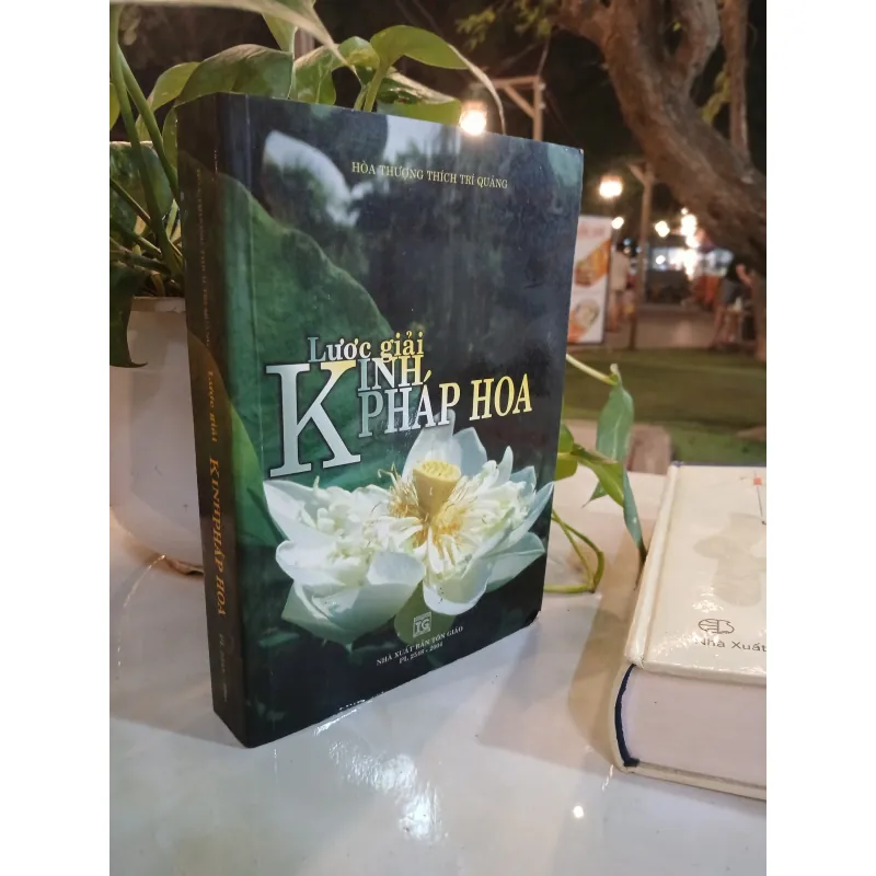 LƯỢC GIẢI KINH PHÁP HOA - THÍCH TRÍ QUẢNG 1026403