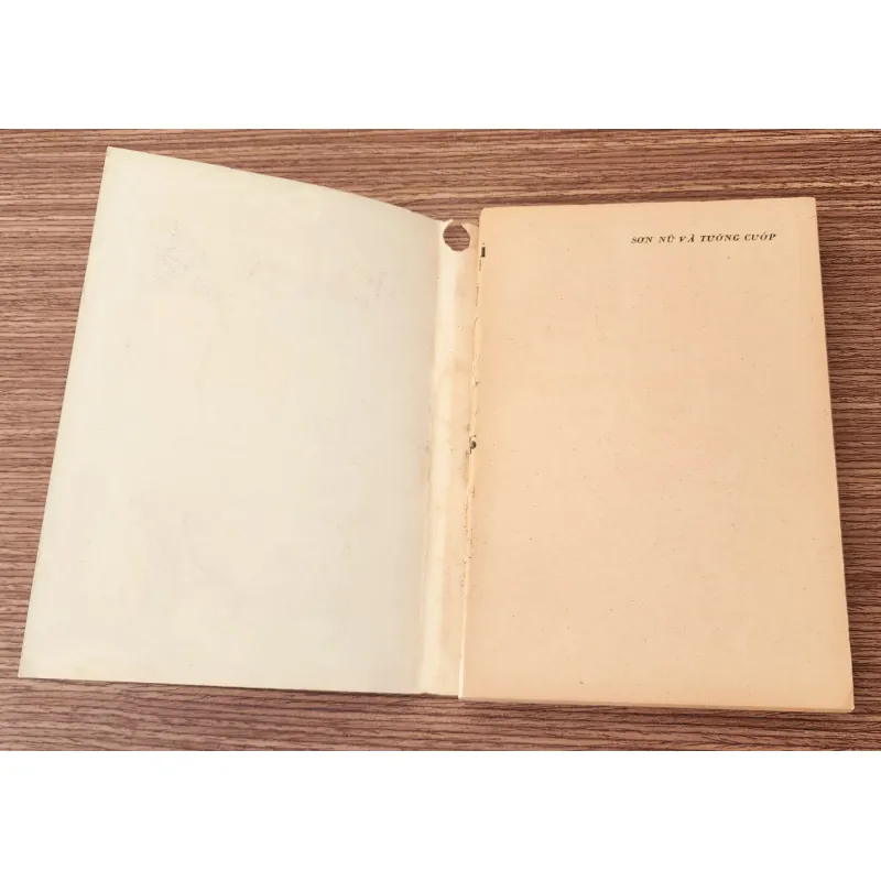 Tiểu thuyết SƠN NỮ & TƯỚNG CƯỚP 776169