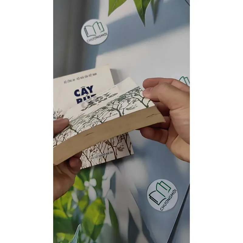 [XƯA] Combo Cây Bút Vàng 1,2 (1999) - Nhiều tác gỉa 798304