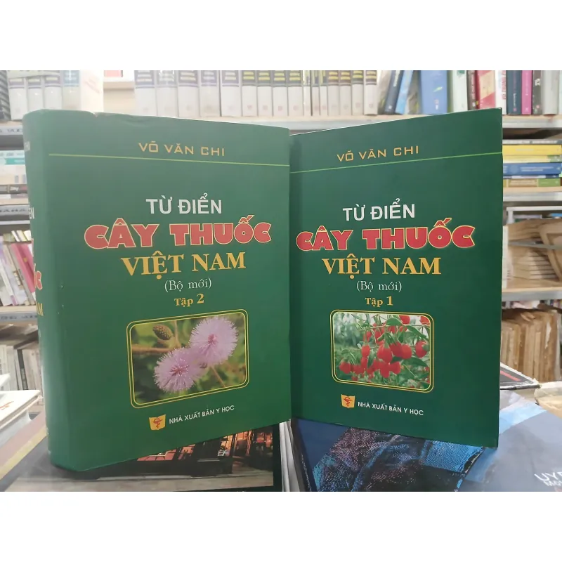 TỪ ĐIỂN CÂY THUỐC VIỆT NAM - VÕ VĂN CHI 455989