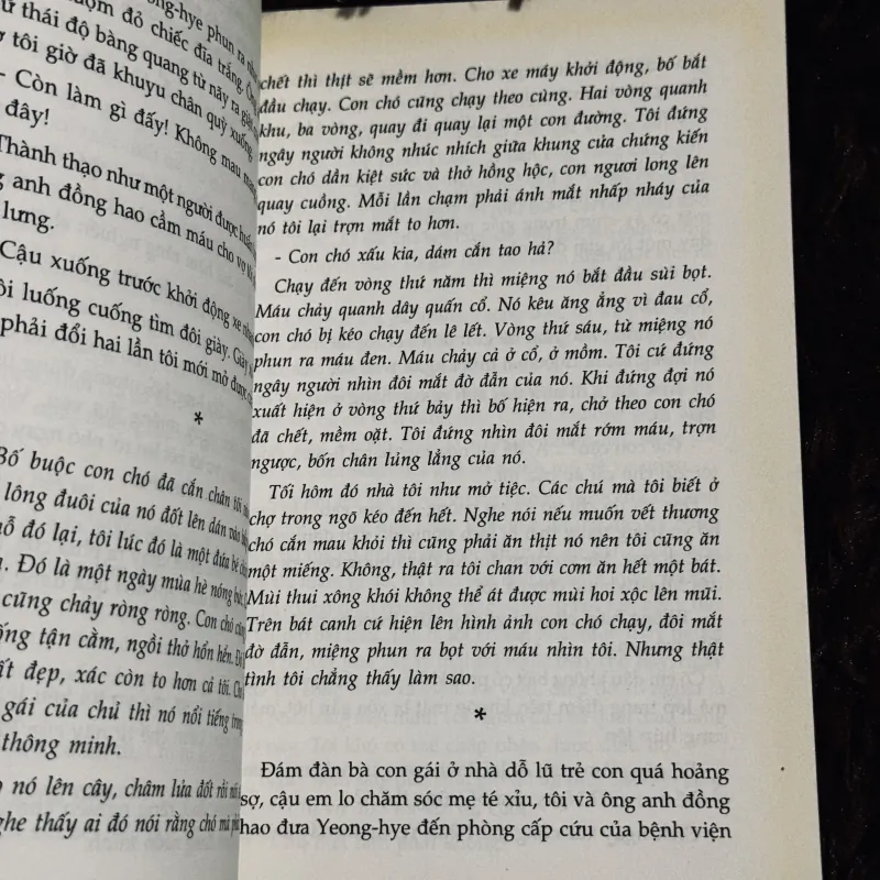 Người ăn chay - Hankang (bản in cũ) 933901