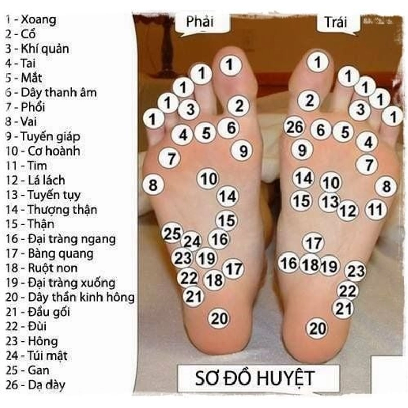 Dép sỏi giúp lưu thông khí huyết 206372