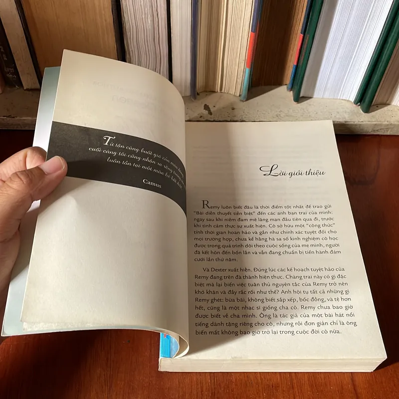 II Tiểu Thuyết: Chạm Yêu - SARAH DESSEN - 2012 575157