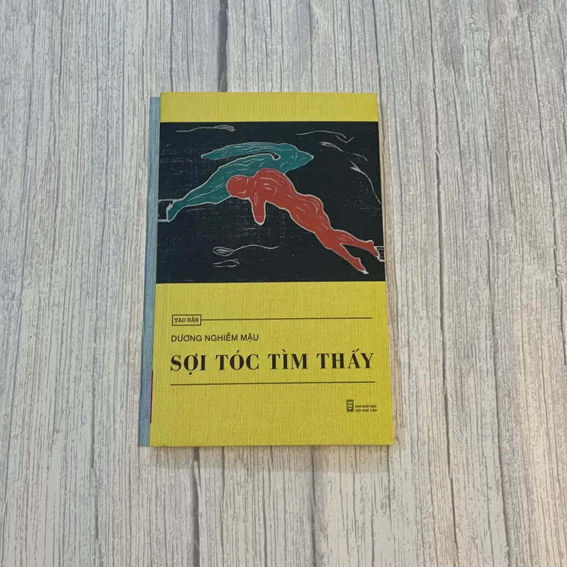 SỢI TÓC TÌM THẤY - DƯƠNG NHIỄM MẬU 931301