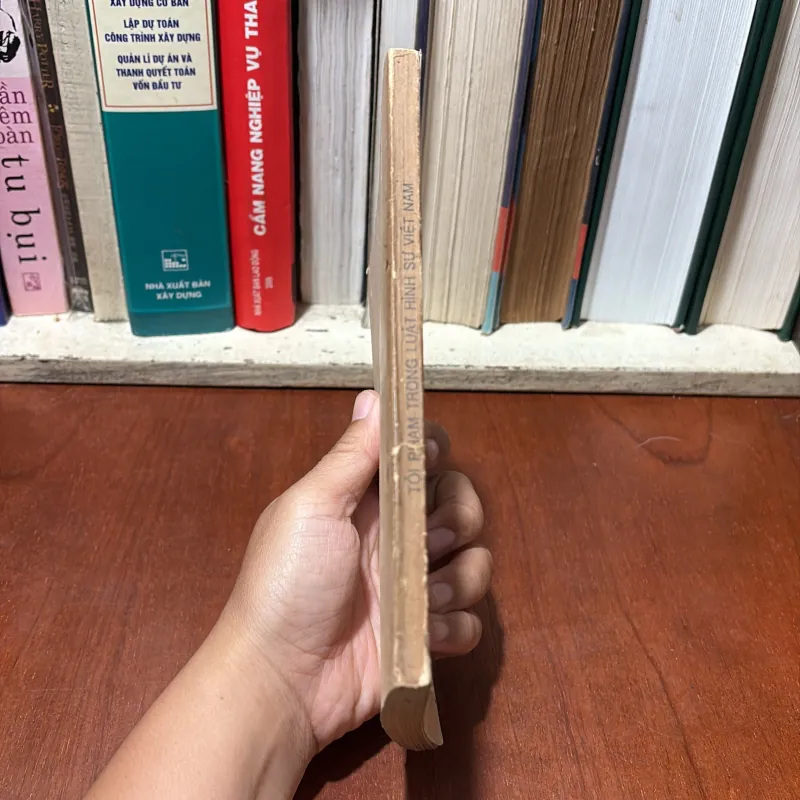 II Sách Tội Phạm: Tội Phạm Trong Luật Hình Sự Việt Nam - Nguyễn Ngọc Hoà - 1991 748213