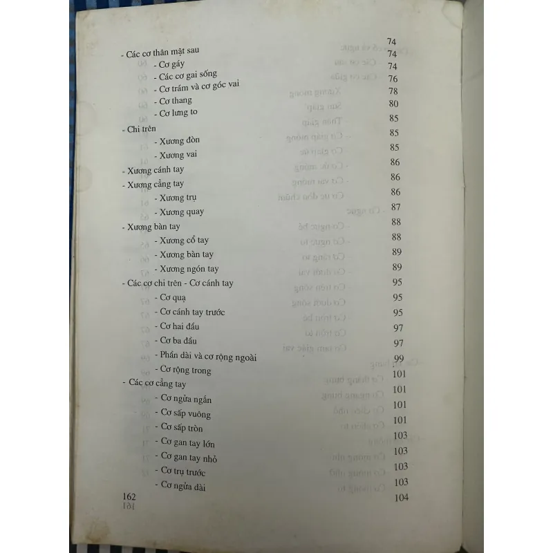 Giải phẫu tạo hình 1045616