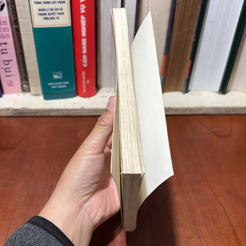 Sách Luật: Trách Nhiệm Hình Sự Đối Với Các Tội Phạm Về Ma Tuý - TS. Trần Văn Luyện - 2000 748203