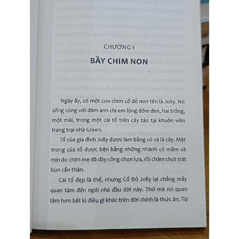 Thung lũng vui vẻ: Chuyện của Cổ Đỏ Jolly - Arthur Scott Bailey (Vũ Danh Tuấn dịch) 577766