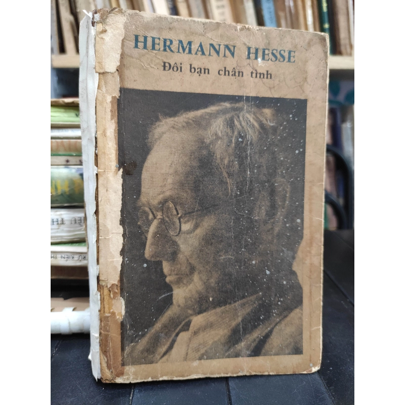 Đôi bạn chân tình - Hermann Hesse 300715