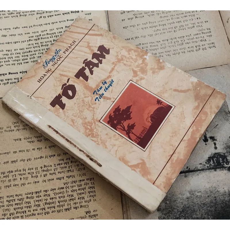 TỐ TÂM - Tiểu thuyết đầu tiên của Việt Nam viết bằng chữ Quốc Ngữ 726799