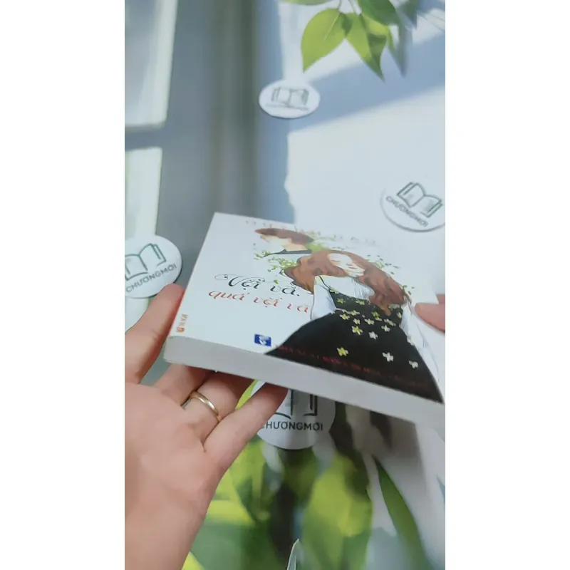 Vội Vã, Quá Vội Vã - Quỳnh Dao 744717