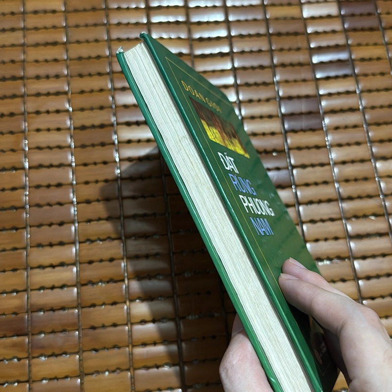 Đất rừng phương nam - Đoàn Giỏi 527338