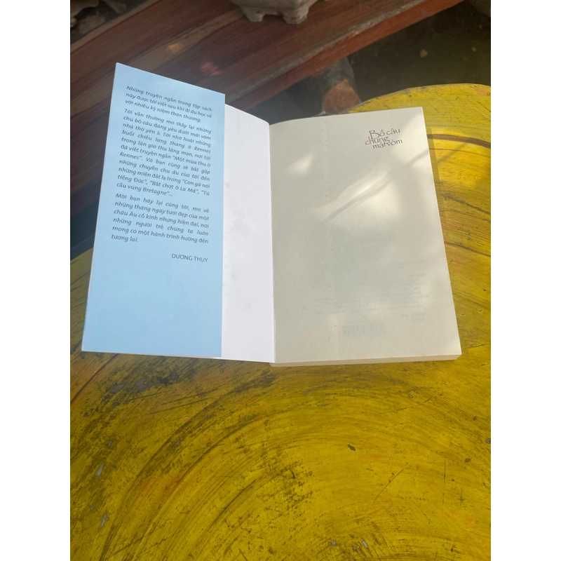 BỒ CÂU CHUNG MÁI VÒM- DƯƠNG THUỴ 476929