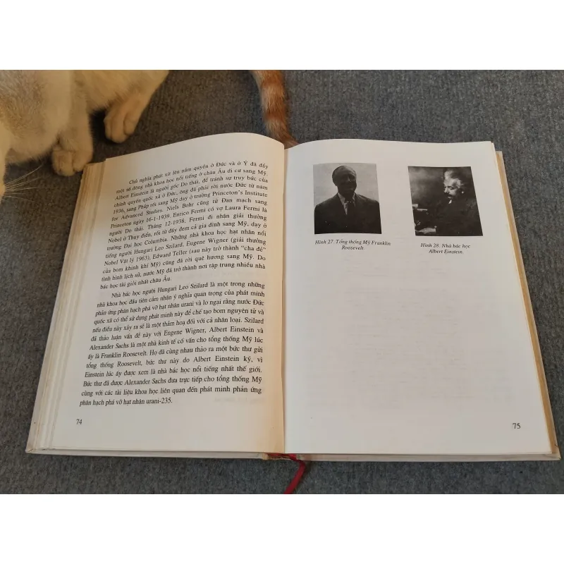 NĂNG LƯỢNG NGUYÊN TỬ VÀ ĐỜI SỐNG - GS.TS. ĐINH NGỌC LÂN 727184