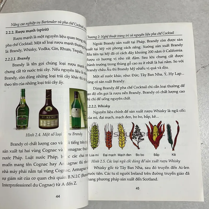 Nâng cao nghiệp vụ Bartender & pha chế Cocktail rượu Việt Nam 589671