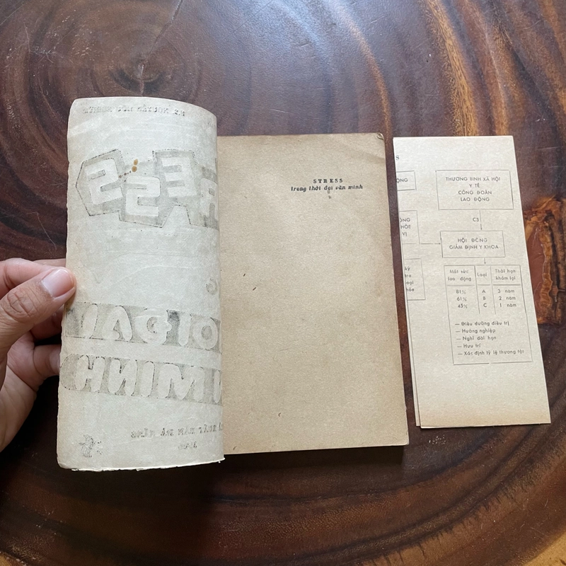 II Stress Trong Thời Đại Văn Minh - BS. Phạm Ngọc Rao & BS. Nguyễn Hữu Nghiêm - 1986 464102