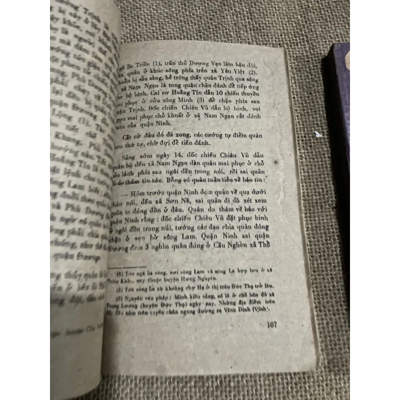 Trịnh Nguyễn diễn chí - Nguyễn Khoa Chiêm  797043