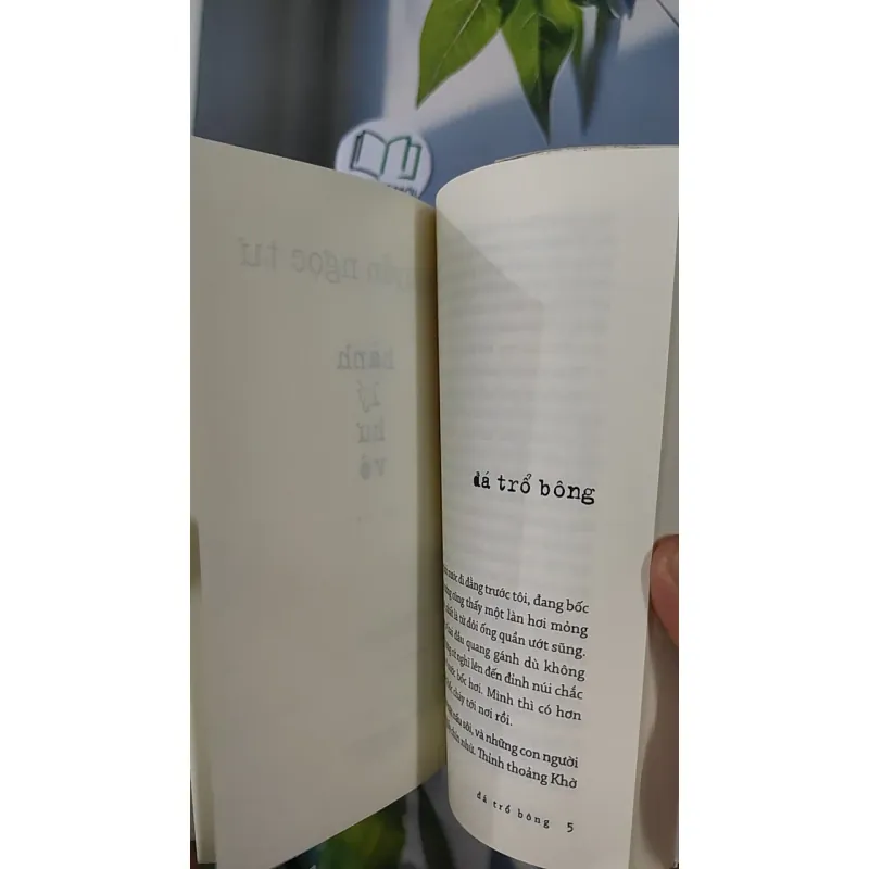 Hành Lý Hư Vô - Nguyễn Ngọc Tư 798396