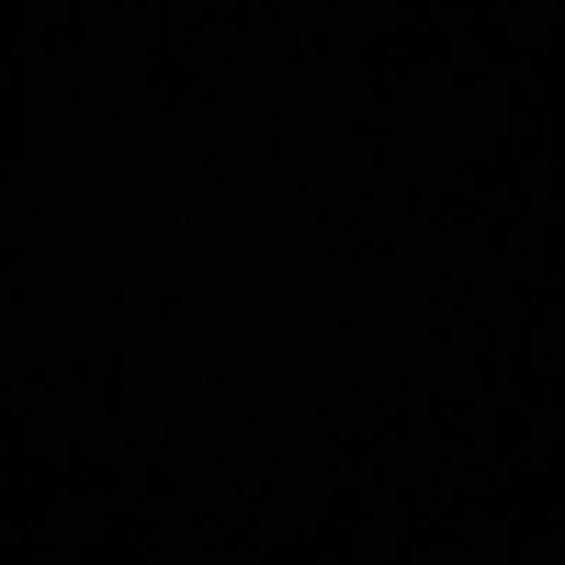 Viết và đọc chuyên đề mùa đônh 2025 1003485