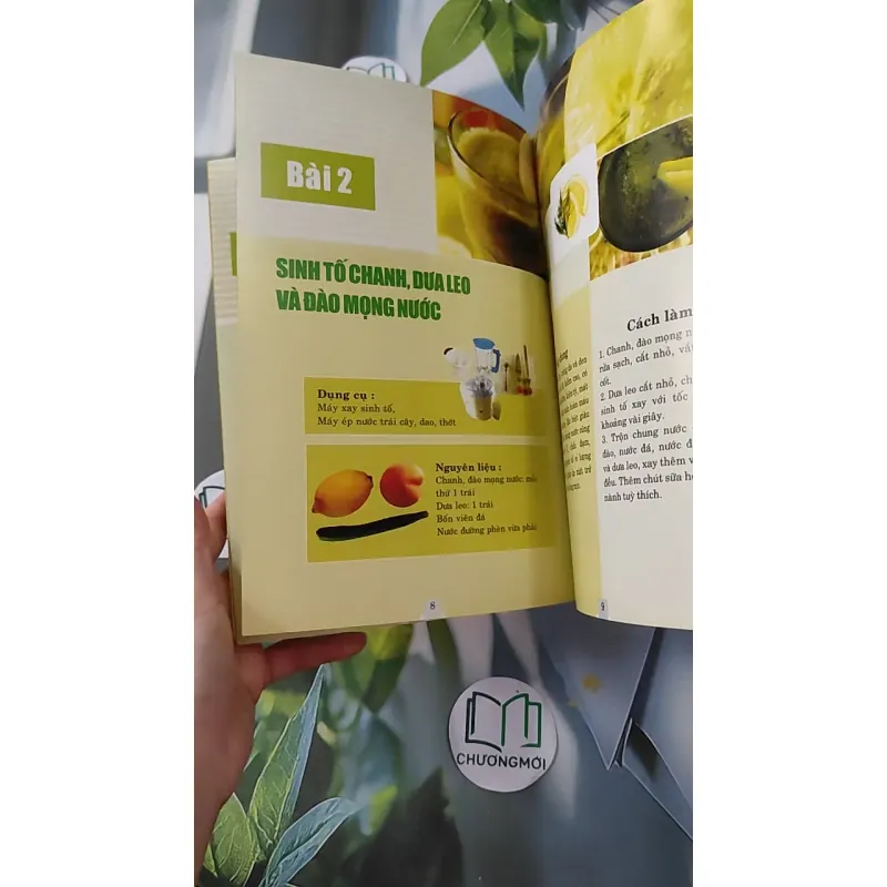 Dưỡng da & chăm sóc làn da bằng sinh tố trái cây - Dược Lan 1018806