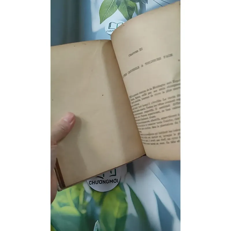 [MIỄN PHÍ BỌC SÁCH] En mission chez les bêtes - Pâquerette de Quénetain 749582