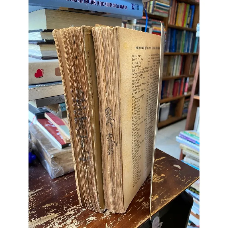 Chơn Lý - Minh Đăng Quang (trọn bộ 2 tập in lần 5) 692855