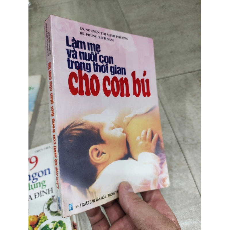 Làm Mẹ Và Nuôi Con Trong Thời Gian Cho Con Bú 1017618